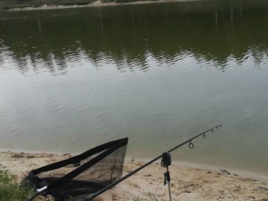 Łowisko Pod Sosnami