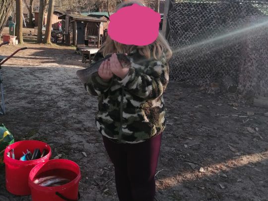 Zwergenland Forellen-1