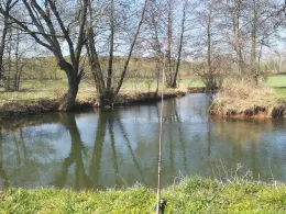 Wohra (Rauschenberg)-1