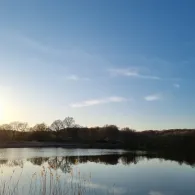 Schlammteich (Tessin)