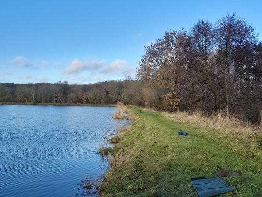 Schlammteich (Tessin)-4