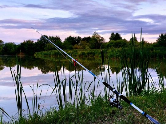 Schlammteich (Tessin)-3