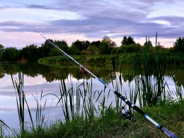 Schlammteich (Tessin)-3