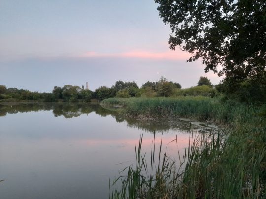 Schlammteich (Tessin)-2