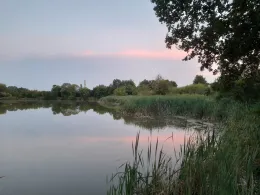 Schlammteich (Tessin)-2