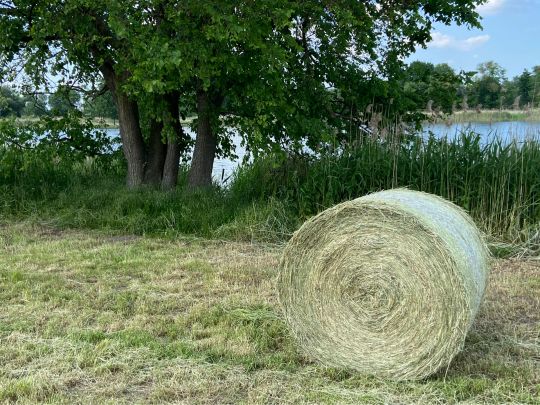 Torflöcher Wriezen-4