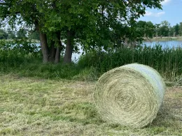 Torflöcher Wriezen-4