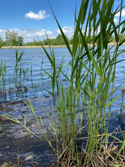 Torflöcher Wriezen-2