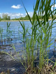 Torflöcher Wriezen-2