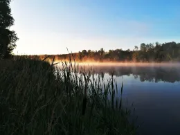 Teufelsteich (Harzgerode)-3