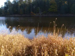 Teufelsteich (Harzgerode)-4