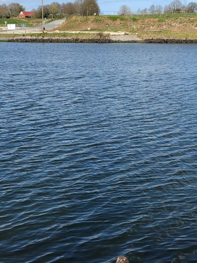 Nord-Ostsee-Kanal (Königsförde)-3