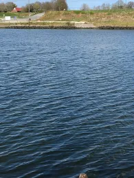 Nord-Ostsee-Kanal (Königsförde)-3