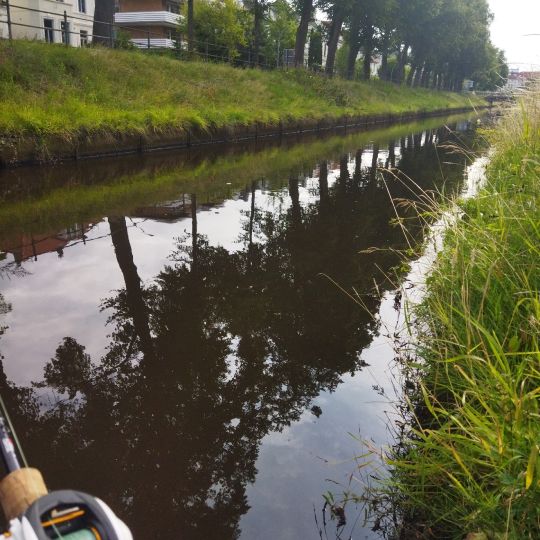 Haaren (Oldenburg)-1