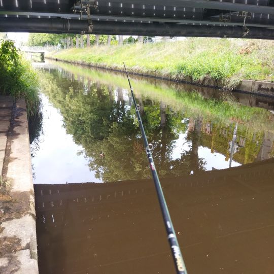 Haaren (Oldenburg)-4