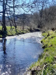 Hasel (Steinbach-Hallenberg)