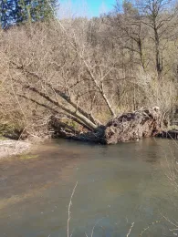 Hasel (Steinbach-Hallenberg)-1