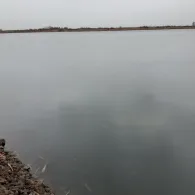 Großer Rußteich (Osternienburg)-2