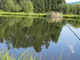 Gschwendtnermühlweiher
