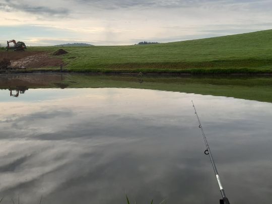 Gschwendtnermühlweiher-4