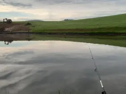 Gschwendtnermühlweiher-4