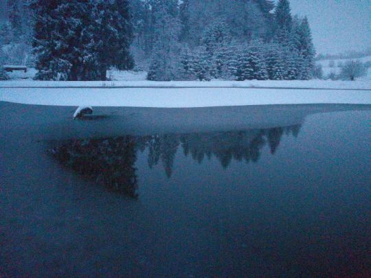 Gschwendtnermühlweiher-3