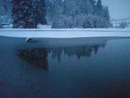 Gschwendtnermühlweiher-3