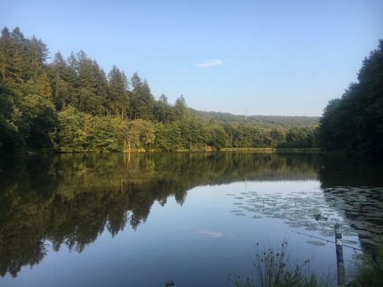 Kaiserhammerweiher-1