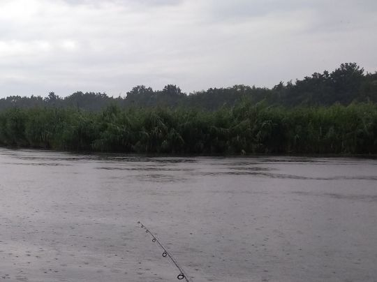 Oegelner See