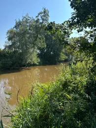 Schmutter (Meitingen)-1