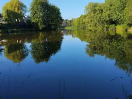 Gärtnerteich (Deppendorf)-1
