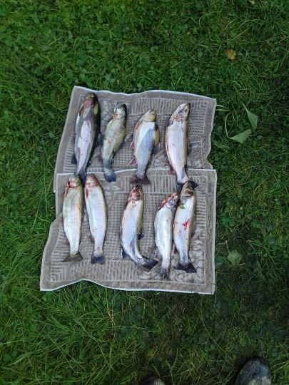 Forellenhof Benecke-2