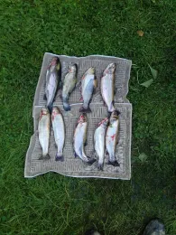 Forellenhof Benecke-2