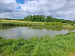 Fließgraben (Eutzsch-Wörlitz)-1