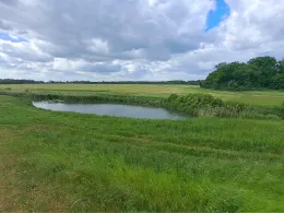 Fließgraben (Eutzsch-Wörlitz)-2