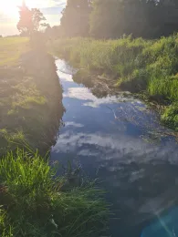 Fließgraben (Eutzsch-Wörlitz)