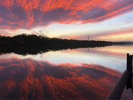 Rhein (Breisach am Rhein)-4
