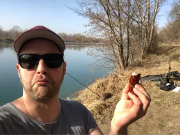 Rhein (Breisach am Rhein)-1