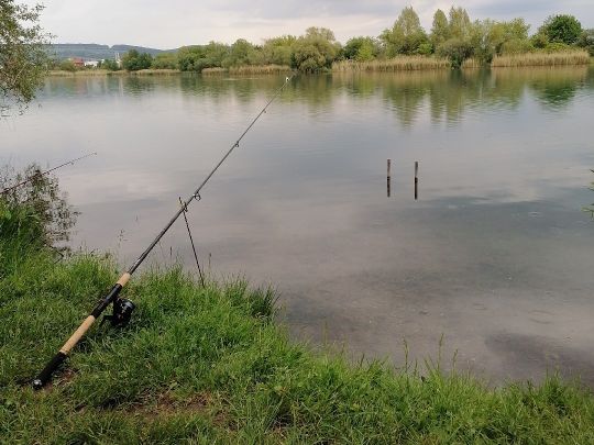 Neue Kiesgrube (Berga)-3