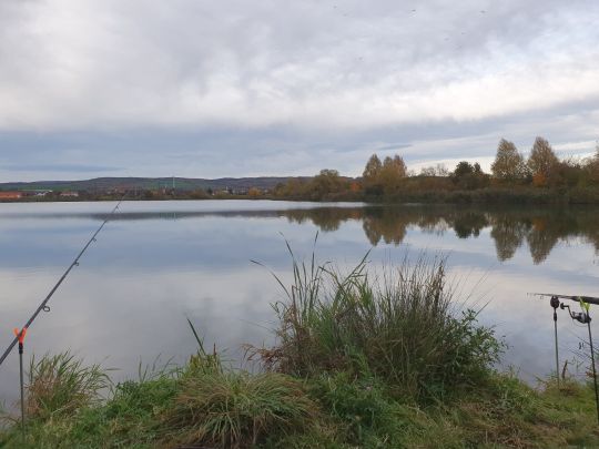 Neue Kiesgrube (Berga)-1