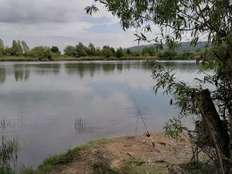 Neue Kiesgrube (Berga)