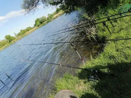 Neue Kiesgrube (Berga)-4