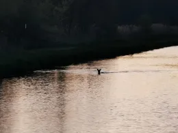 Störkanal (Eldedreieck)-2