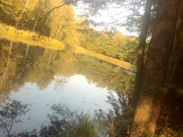 Hammergrabenteich (Lauchhammer)-2