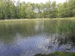 Hammergrabenteich (Lauchhammer)