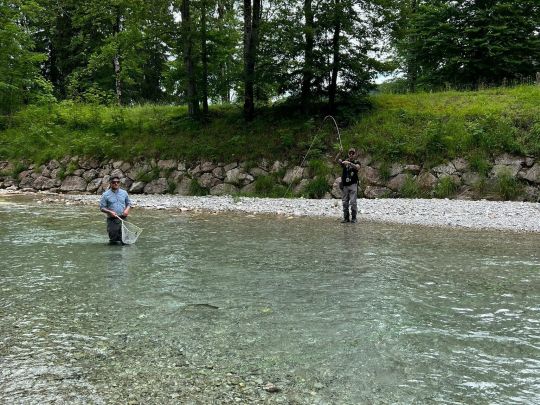 Weiße Traun (Ruhpolding)-1