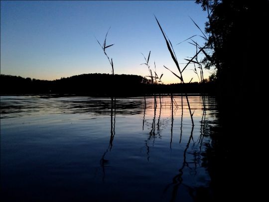 Vilzsee-2
