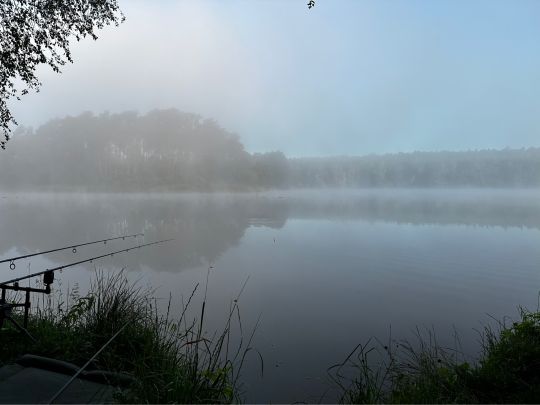 Torfstich Maxsee (Hoppegarten)