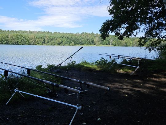 Torfstich Maxsee (Hoppegarten)-4