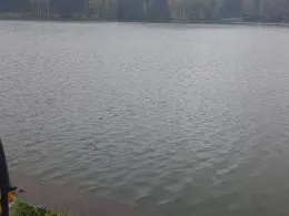 Torfstich Maxsee (Hoppegarten)-3